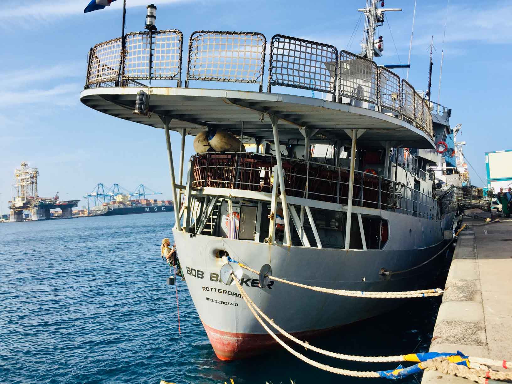 Explorando arrecifes coralinos