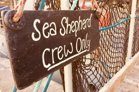 Ocean Stewardship